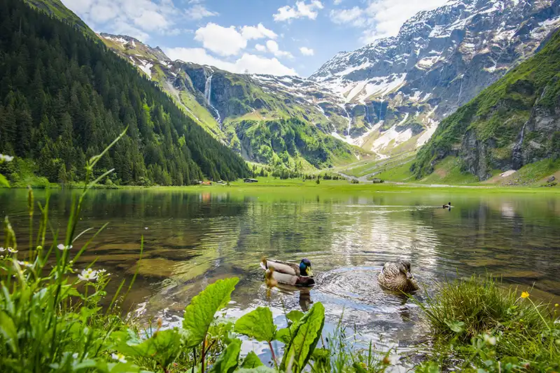 Mittersill Hollersbach Stuhlfelden